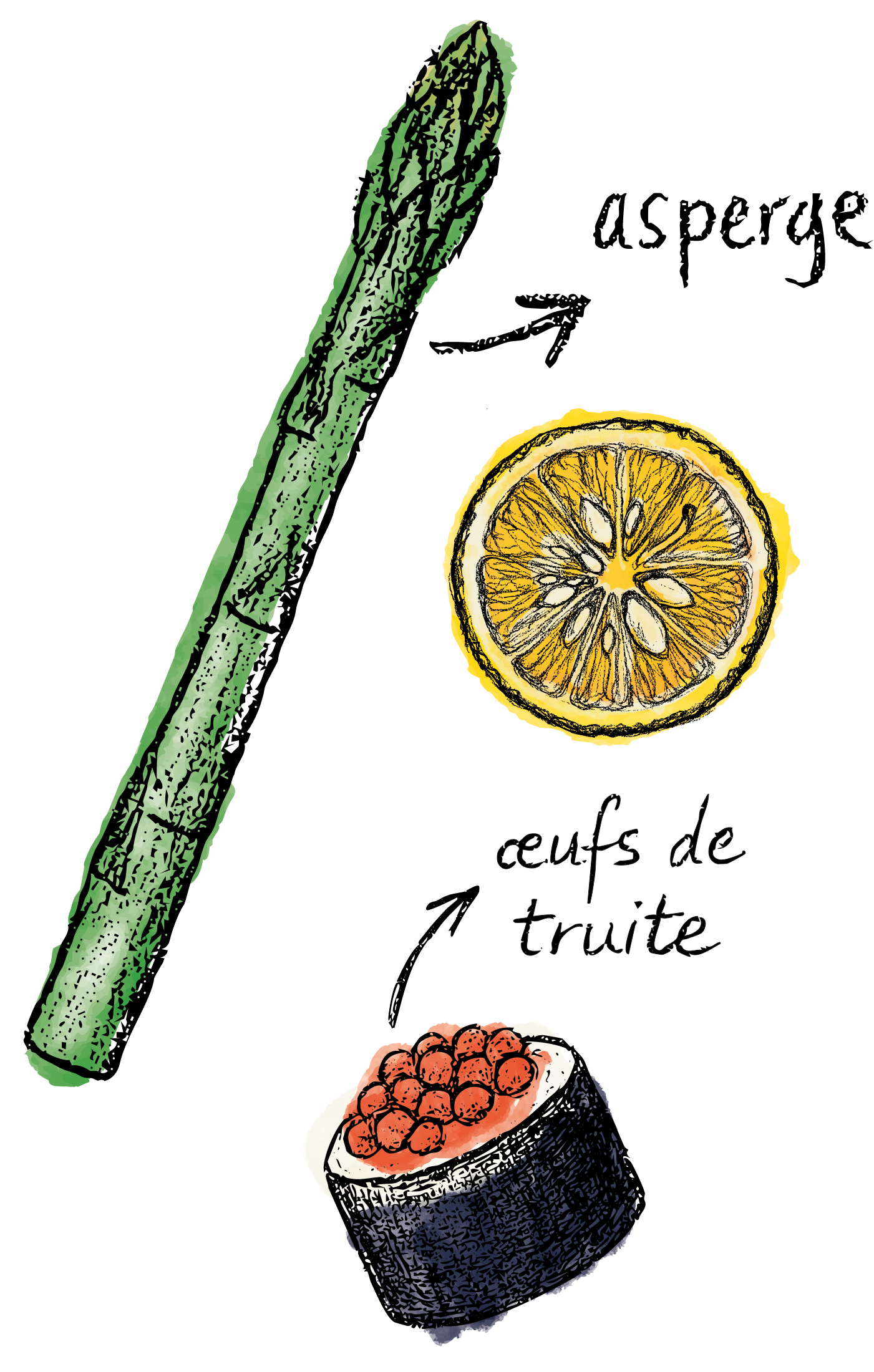 Collection Hugo Riboulet