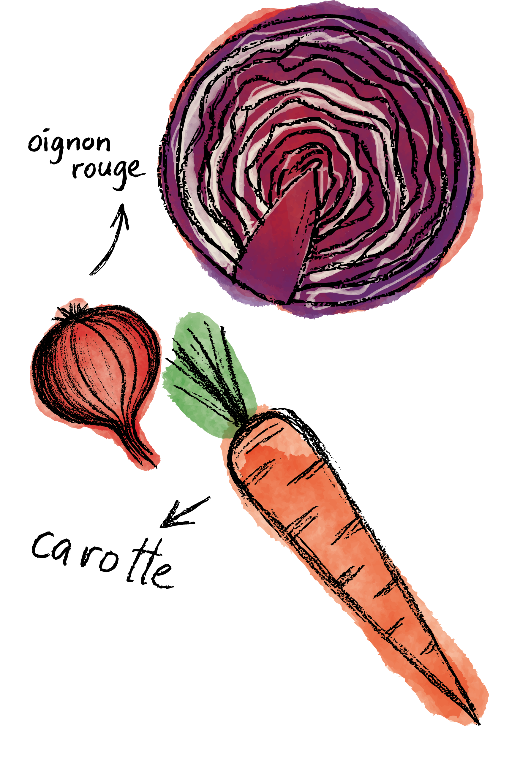 Collection Hugo Riboulet